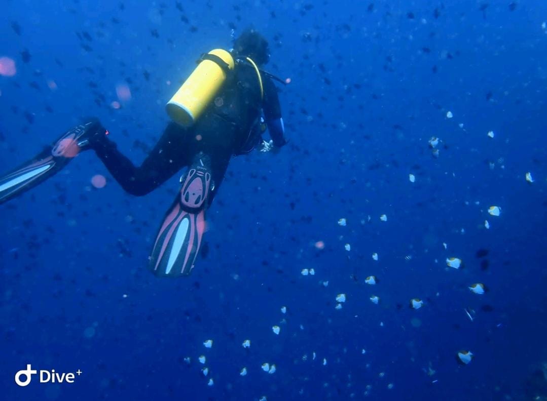 Diving bunaken-130766